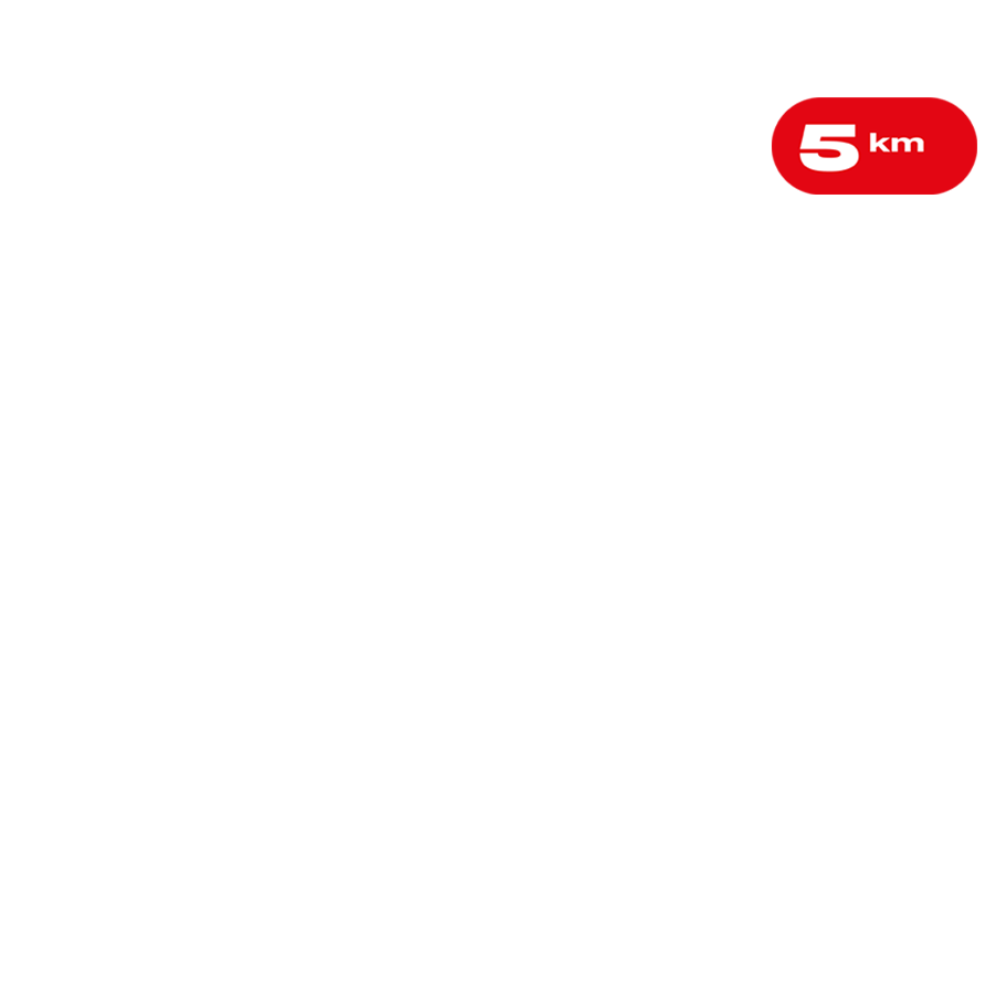 Layer